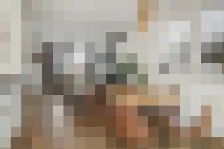 Peelrand 23 Deurne thumbnail 13
