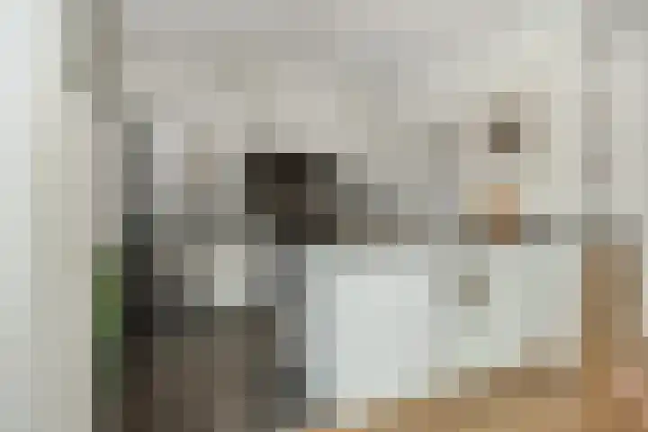 Peelrand 23 Deurne thumbnail 15