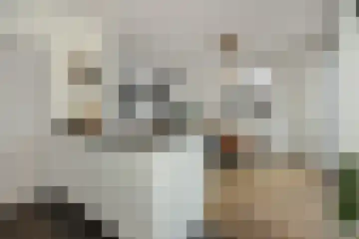 Peelrand 23 Deurne thumbnail 16