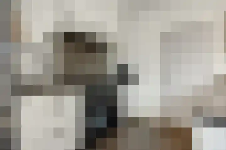 Peelrand 23 Deurne thumbnail 17