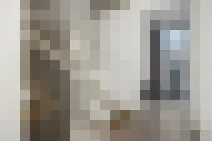 Peelrand 23 Deurne thumbnail 19