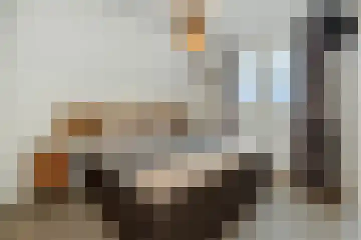 Peelrand 23 Deurne thumbnail 20