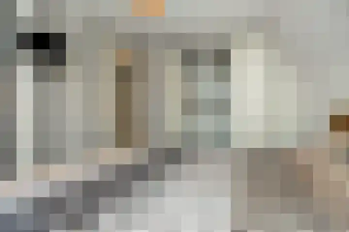 Peelrand 23 Deurne thumbnail 21