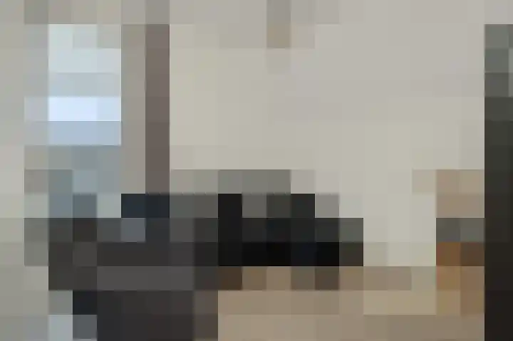 Peelrand 23 Deurne thumbnail 22