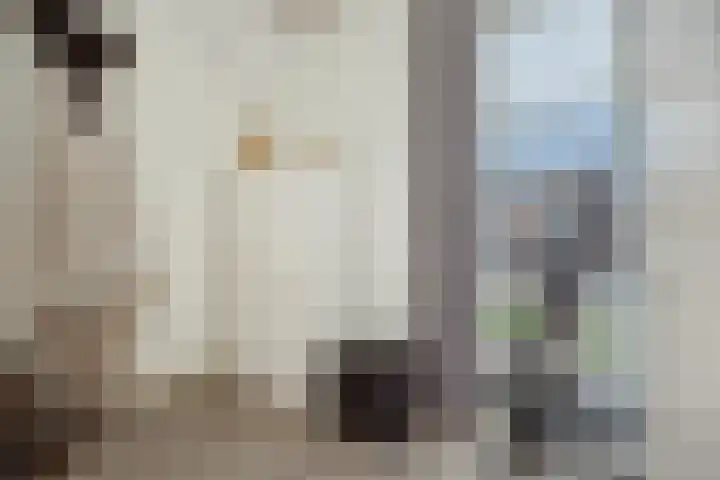 Peelrand 23 Deurne thumbnail 23
