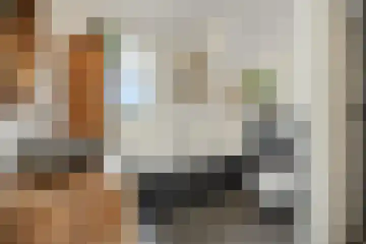 Peelrand 23 Deurne thumbnail 25