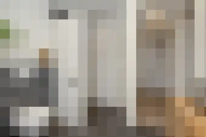 Peelrand 23 Deurne thumbnail 26