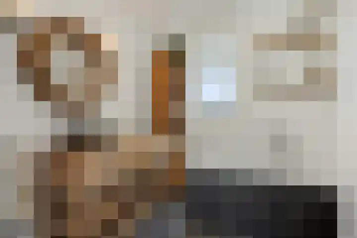 Peelrand 23 Deurne thumbnail 27