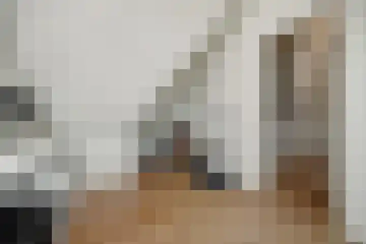 Peelrand 23 Deurne thumbnail 29