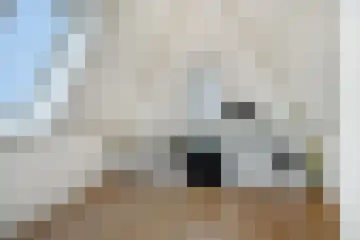 Peelrand 23 Deurne thumbnail 30
