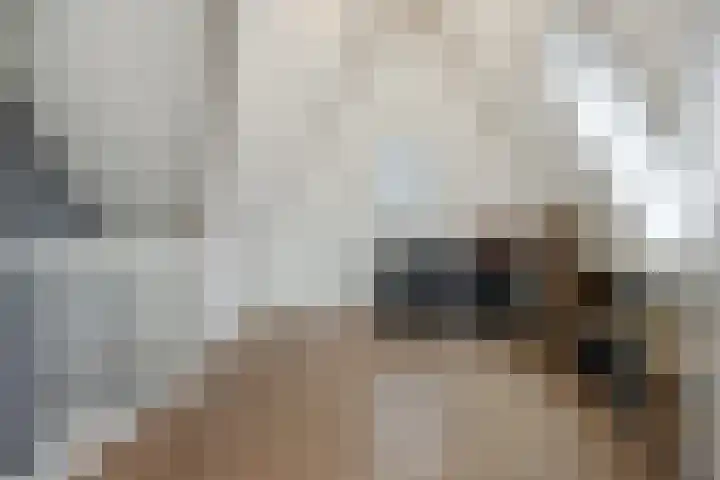 Peelrand 23 Deurne thumbnail 31