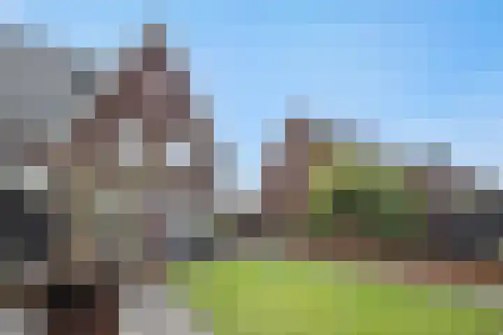 Peelrand 23 Deurne thumbnail 34