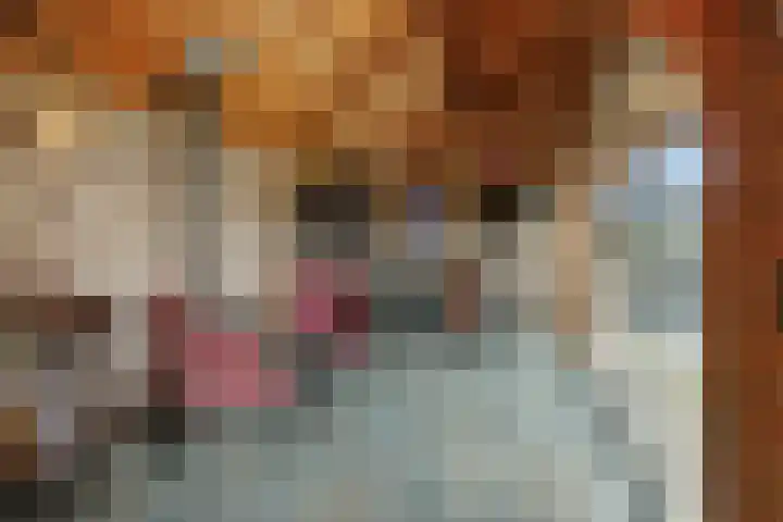 Peelrand 23 Deurne thumbnail 36