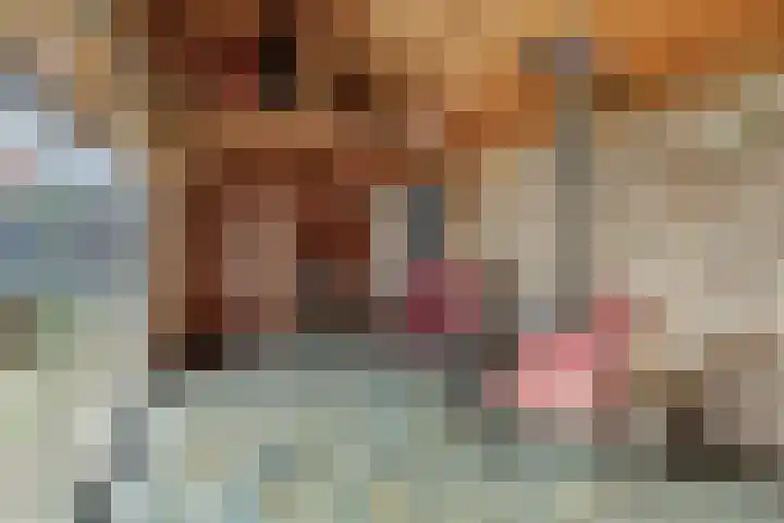 Peelrand 23 Deurne thumbnail 37