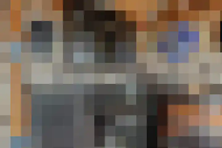 Peelrand 23 Deurne thumbnail 38