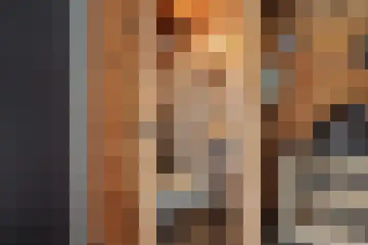 Peelrand 23 Deurne thumbnail 39