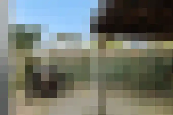 Peelrand 23 Deurne thumbnail 40