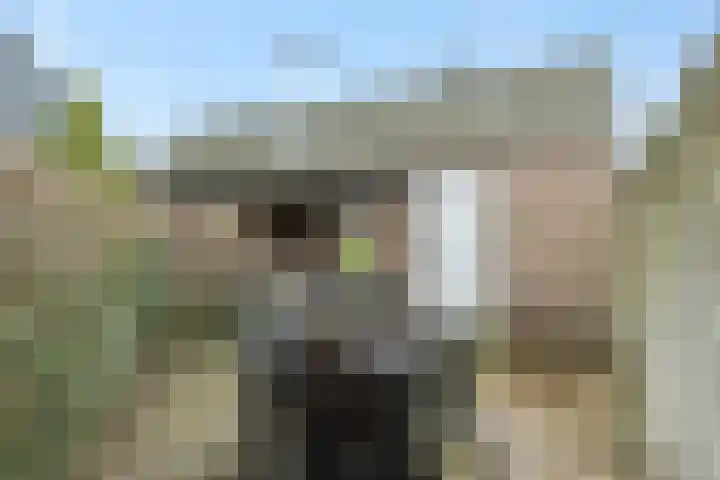Peelrand 23 Deurne thumbnail 41