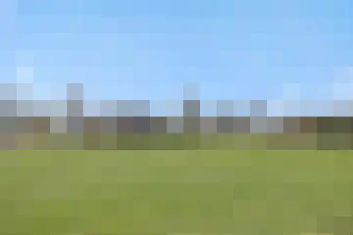 Peelrand 23 Deurne thumbnail 45