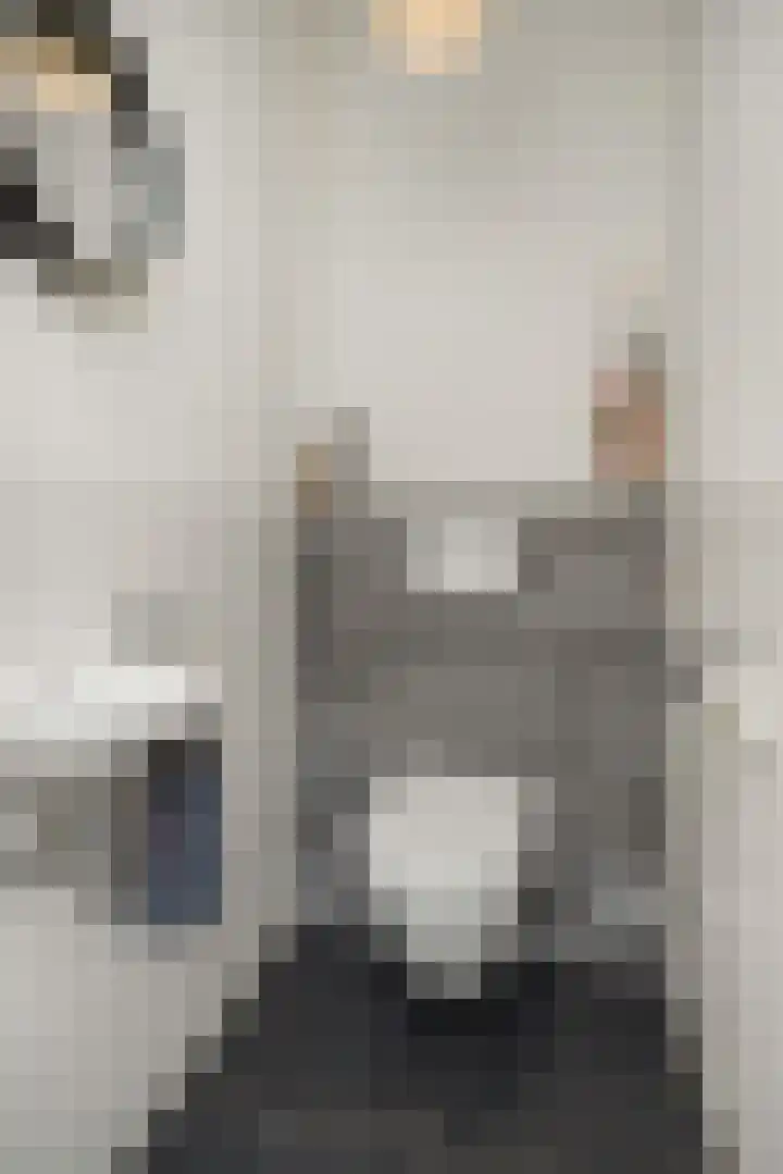 Peelrand 23 Deurne thumbnail 9