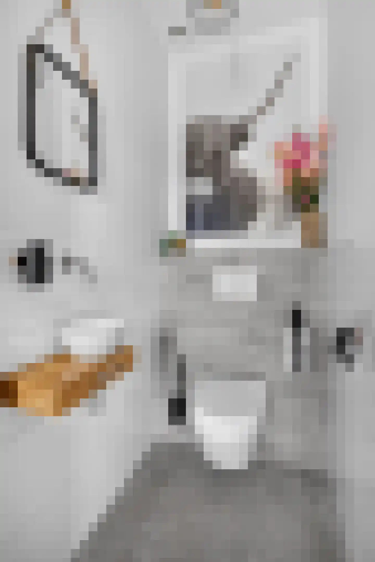 Peelrand 7 Deurne thumbnail 10