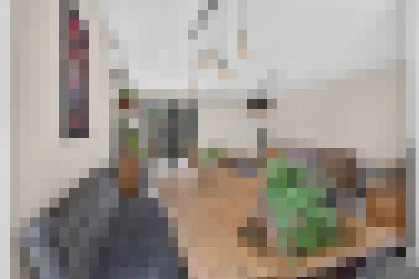 Peelrand 7 Deurne thumbnail 14