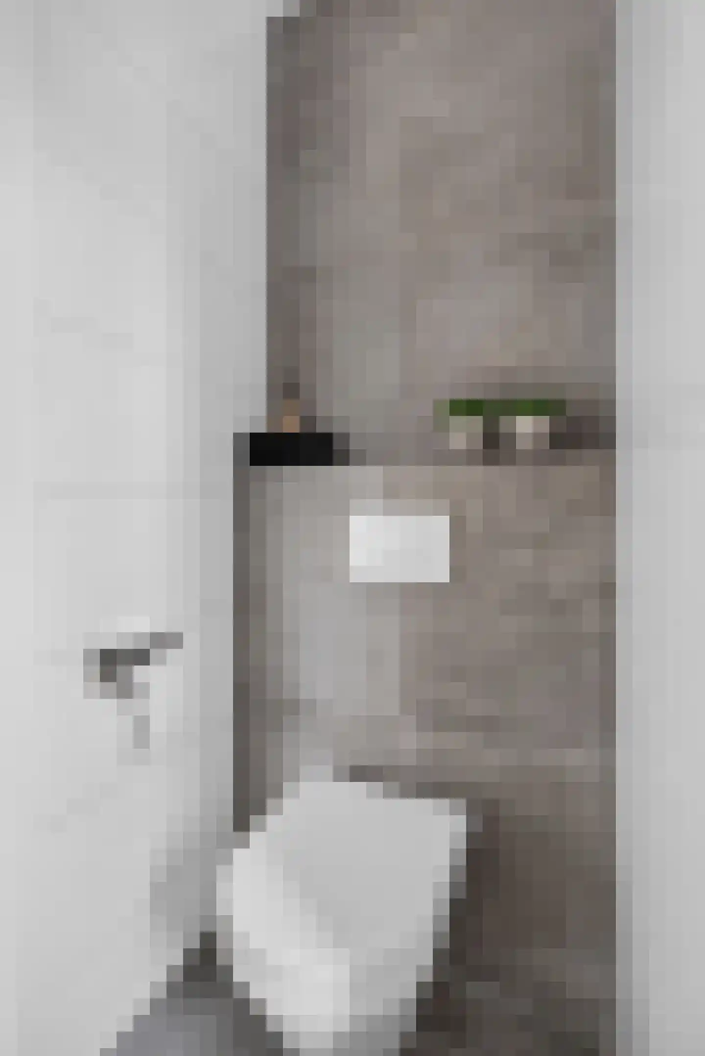 Peelrand 7 Deurne thumbnail 31