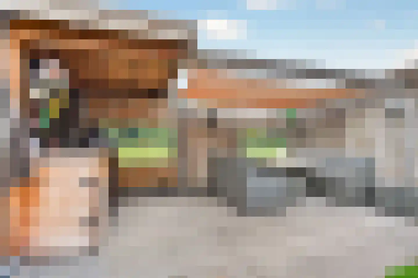 Peelrand 7 Deurne thumbnail 39