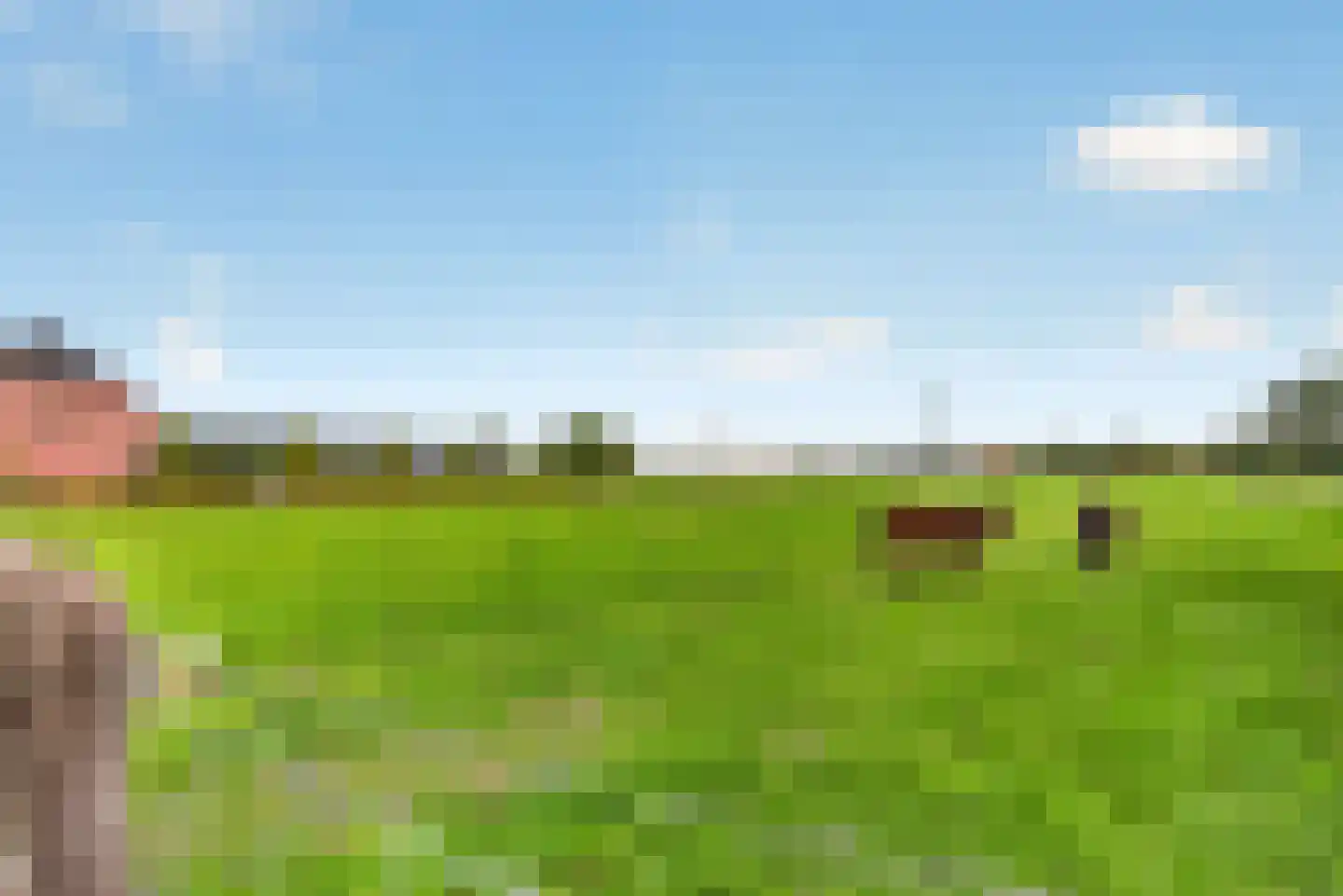 Peelrand 7 Deurne thumbnail 41