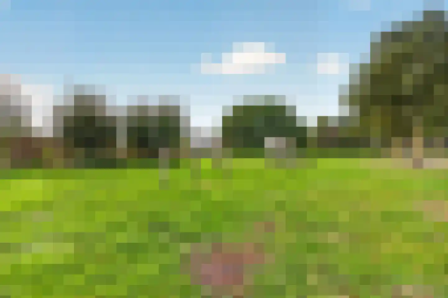 Peelrand 7 Deurne thumbnail 46