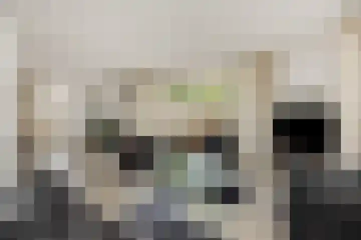 Peelschol 1 Deurne thumbnail 10