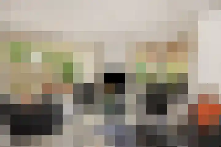 Peelschol 1 Deurne thumbnail 11