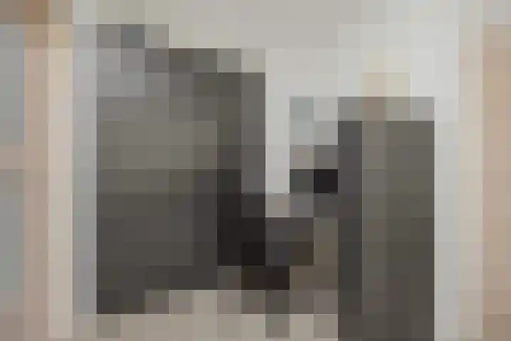 Peelschol 1 Deurne thumbnail 12
