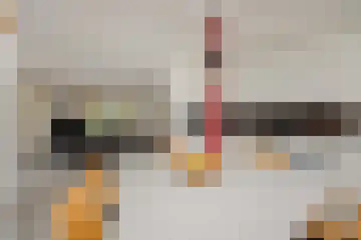 Peelschol 1 Deurne thumbnail 13