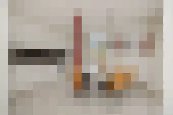 Peelschol 1 Deurne thumbnail 14