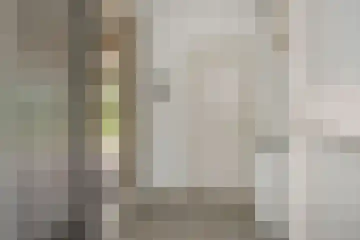 Peelschol 1 Deurne thumbnail 15