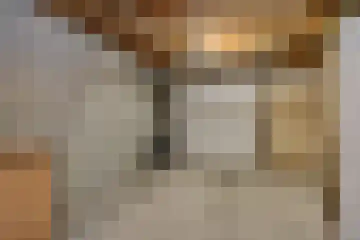 Peelschol 1 Deurne thumbnail 16