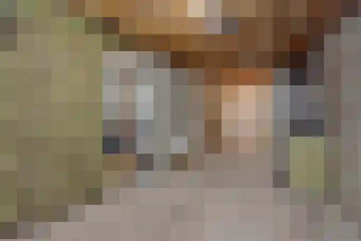Peelschol 1 Deurne thumbnail 17