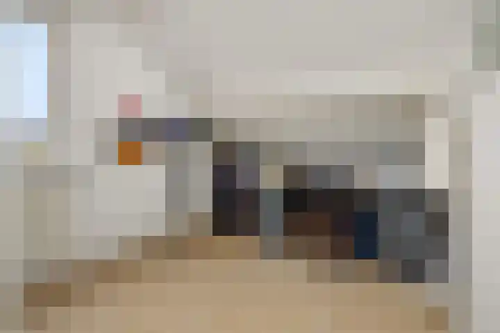 Peelschol 1 Deurne thumbnail 19