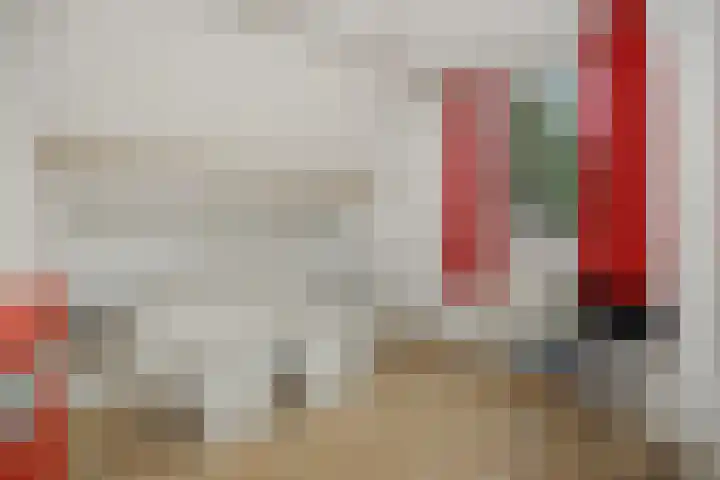 Peelschol 1 Deurne thumbnail 21