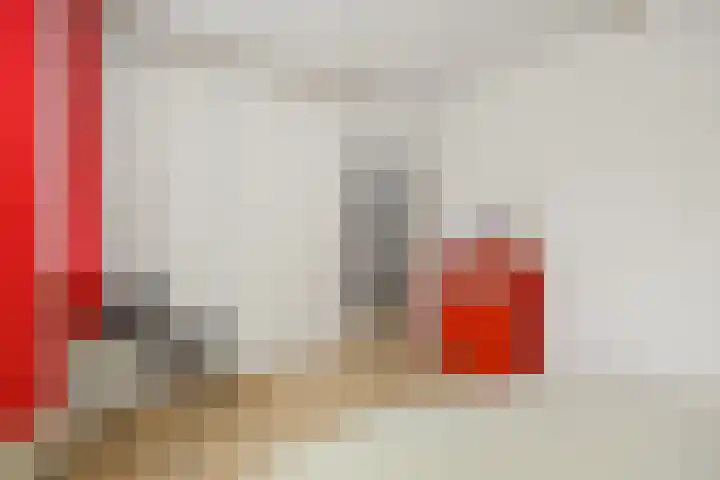 Peelschol 1 Deurne thumbnail 22