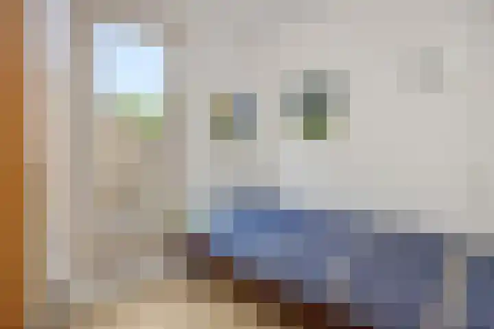 Peelschol 1 Deurne thumbnail 23