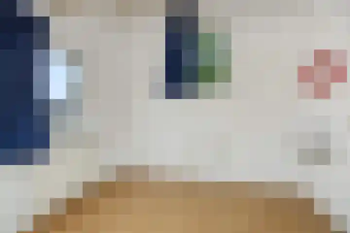 Peelschol 1 Deurne thumbnail 27