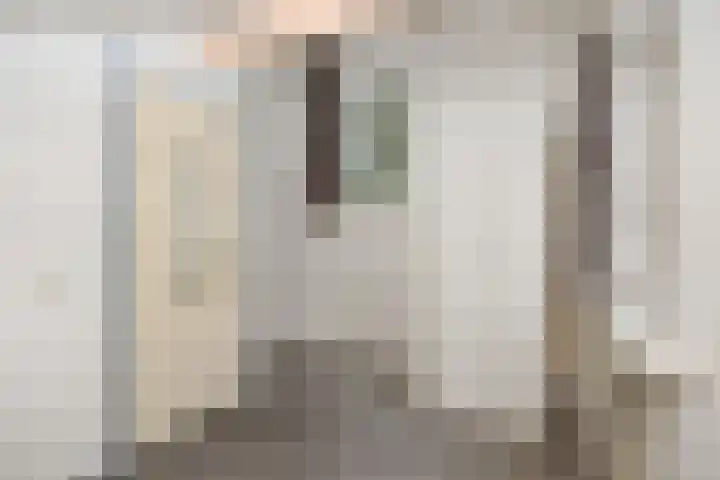 Peelschol 1 Deurne thumbnail 28
