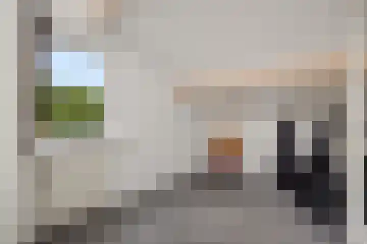 Peelschol 1 Deurne thumbnail 29