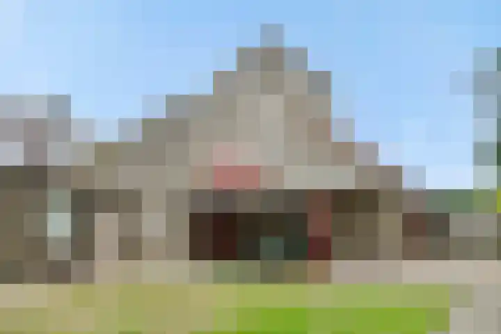 Peelschol 1 Deurne thumbnail 30