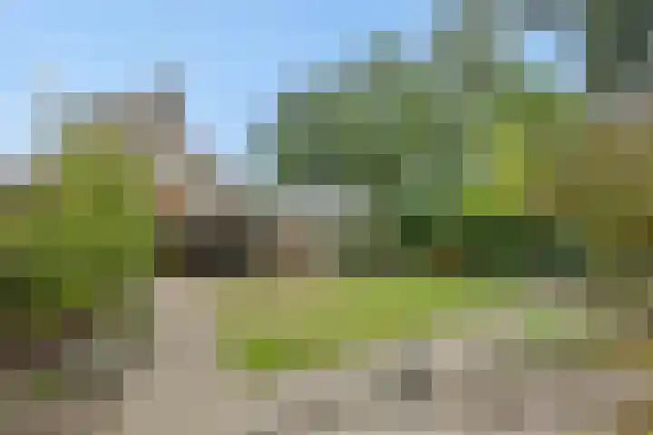 Peelschol 1 Deurne thumbnail 31