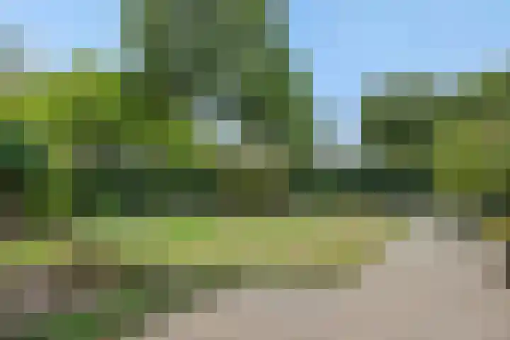 Peelschol 1 Deurne thumbnail 32