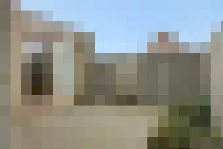 Peelschol 1 Deurne thumbnail 33