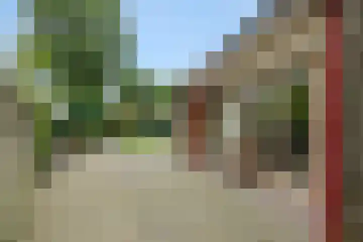 Peelschol 1 Deurne thumbnail 34